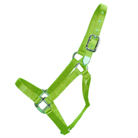 Conception de votre propre licou de cheval coloré en Nylon imprimé de transfert de chaleur accessoires de licou de cheval pour chevaux