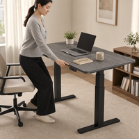 Table de bureau électrique silencieuse en bois AOR, réglable en hauteur, double usage assis-debout, pour ordinateur, couleurs personnalisables