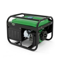 Générateur d'essence portable 3 kW, démarrage électrique/manuel, fil de cuivre/aluminium en option, homologué CE EURO5, générateur à essence personnalisé