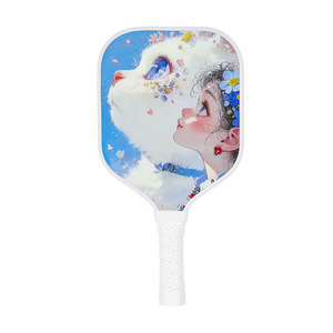 Set de Regalo de Pala de Pickleball de Fibra de Vidrio para Actividades de Invierno y Diversión en Interiores, con Bolsa de Transporte, Ideal para Regalo Navideño - Product Image 1