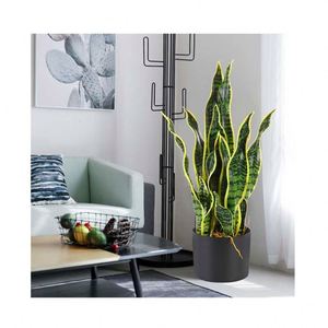 Vente en gros d'usine, plante artificielle Sansevieria <span class=keywords><strong>Trifasciata</strong></span> de marque BF, matière PE, couleur verte, bonsaï d'intérieur/extérieur, jardin - Product Image 1