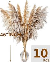 Buket Rumput Pampas Kering 46 Inci 10 Tangkai, Dekorasi Rumah Gaya Farmhouse Boho untuk Pernikahan (Cokelat) Hari Ibu Natal
