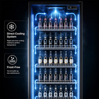 Vitrines Réfrigérées Commerciales à Température Unique avec Porte Vitrée LED pour Bières, Boissons et Spiritueux – Présentoir Internet