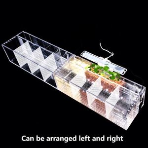 Petit poisson moderne pour aquarium écologique sans eau en acrylique de forme rectangulaire, accessoires de décoration - Product Image 5