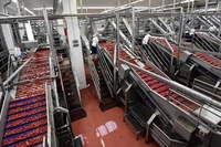 Ligne de production industrielle de tomates en conserve LWT, machine à sauce tomate, ligne de traitement de concentré pour usine de conserves