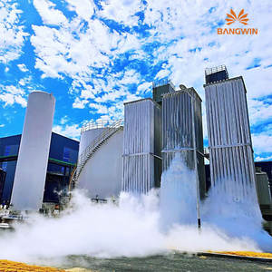 Equipo de generación de gas criogénico BW, planta de nitrógeno de oxígeno, con tanque de almacenamiento de gas líquido, 300/ - Product Image 1