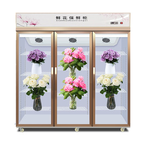 Vitrine Réfrigérée pour Fleurs, Congélateur Grande Capacité, Réfrigérateur Commercial Sans Givre, Équipement de Réfrigération - Product Image 3