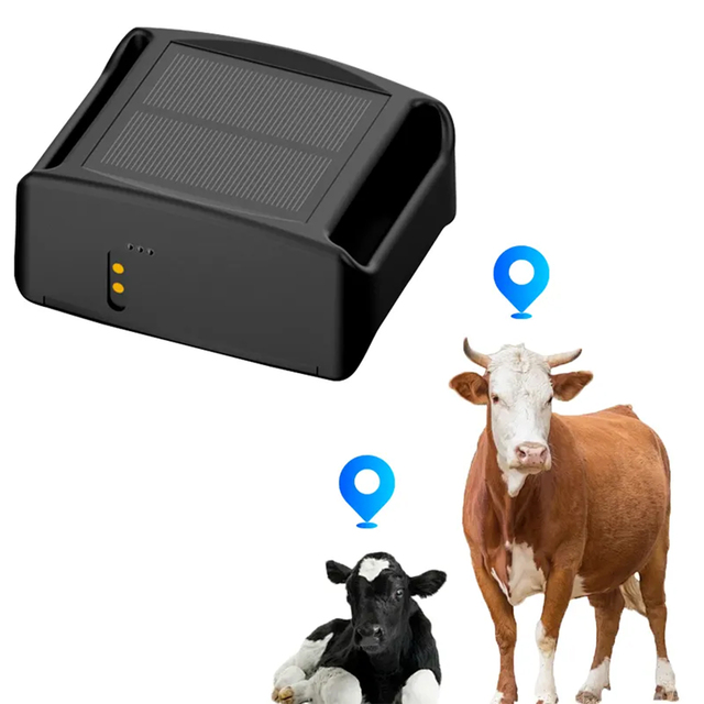 Gisentec Q19 2025 New 15000Mah Mini Solar 4G LBS GPS Tracker Waterproof IP68 WIFI Cattle Cow Sheep Horse Camel Tracking Device