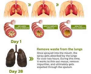 Lung Kräuter reiniger <span class=keywords><strong>Spray</strong></span> Raucher Klarer Nasen nebel Anti Schnarchen Stauung Lindert Lösung Klar Trocken - Product Image 4