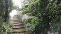 Brumisateur anti-moustiques d'extérieur pour jardin, pompe haute pression 70-100 bars, machine à brumiser en acier inoxydable 304 avec pulvérisateurs