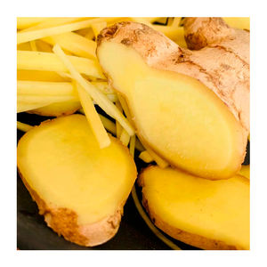 ถุงตาข่ายสีเหลืองสำหรับทำฟาร์มขิงสดปลอดสารพิษ10กก. ส่งตรงจากผู้ผลิตในประเทศจีน - Product Image 4