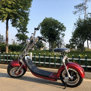 Motocicleta Eléctrica Tipo Straddle de 2 Ruedas, 60V 20AH 2000W, Envío desde Almacén Europeo - Product Image 3