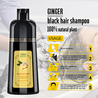 Groothandel Private Label Arganolie Langdurige Natuurlijke Haarverf Bruin Kleur Zwart Haar Kleur Shampoo Voor Vrouwen