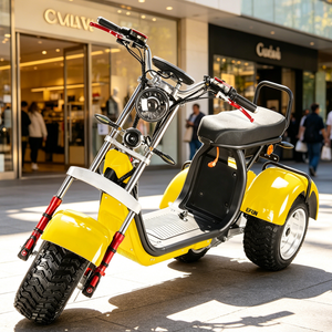 Monopattino Elettrico ad Alta Velocità da 1000 Watt per Adulti, Prezzo Basso, Moto da Turismo a Due Ruote 48V-72V con Batteria da 20Ah - Product Image 2