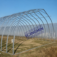Serre tunnel gothique grande taille à succès, avec film plastique PE anti-âge, montage facile pour légumes de jardin