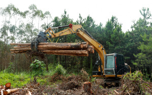 Vật Lộn Xoay!!! Dụng Cụ Xoay Thủy Lực Chống Trượt Dụng Cụ Lấy Gỗ Để Nâng Lên 5512lbs - Product Image 4