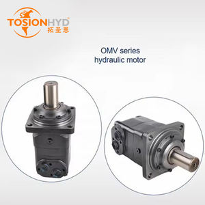 Tosion Hydraulische Baan Motor Bmer Hmr 250 Baan Motor Danfss Eaton Baan Motor 63cc - Product Image 6