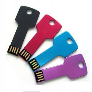 Relatiegeschenk Metalen Sleutel Usb Flash Pen Drive 2G 4G 8G 16G 32G Sleutel Usb flash Drive Met Aangepaste Logo - Product Image 2