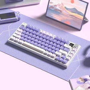 Nouvel arrivage Clavier de jeu mécanique professionnel 81 touches rétroéclairé par LED USB filaire 75 pour cent chargeur sans fil USB de bureau type-c