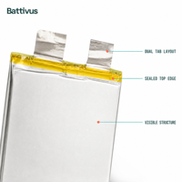 Batterie LiPo BATTIVUS 3.7V 10000mAh en pochette 1059156 pour aspirateur sans fil, vente en gros 10Ah Slim OEM ODM
