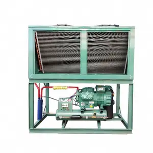 Ventas calientes Sistema de compresor de refrigeración Unidad de condensador Refrigeración Unidad de condensación de almacenamiento en frío para enfriador