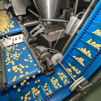 Convoyeur à bande incliné portable pour fraises, élévateur à trémie en PU/PVC, convoyeur à bande incliné pour l'industrie alimentaire