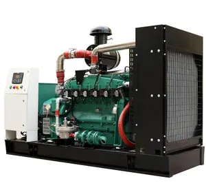 Generador de Gas Natural de 120kW, fabricante chino, GLP, biogás, propano, para planta eléctrica de 150kVA