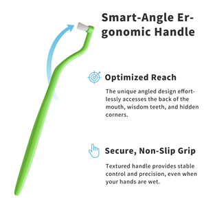 Lot de 4 brosses à dents à touffe unique souple Brosse interdentaire pour appareils orthodontiques Implants Ponts Nettoyage des - Product Image 5