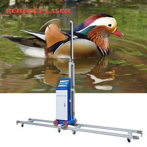 Stampante Murale Verticale Portatile 3D 5D a Colori di Alta Qualità con Ruote Perfect Laser - Product Image 2