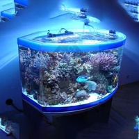 Aquarium sur mesure 2020 en Chine : Porte personnalisée, élevage de poissons, aquarium grand format économique en feuille de verre acrylique pour aquarium.