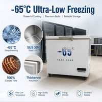 Congélateur coffre commercial ultra basse température -65°C pour le stockage du thon et des fruits de mer, réfrigérateur de laboratoire de qualité médicale