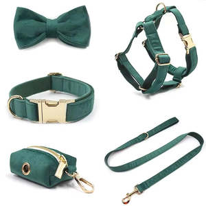 <span class=keywords><strong>2025</strong></span> elegante Lago Verde terciopelo pequeño perro Correa arnés <span class=keywords><strong>Collar</strong></span> conjunto con cómodo transpirable flor <span class=keywords><strong>Collar</strong></span> para mascotas - Product Image 2