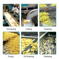 Complete fruit- en groenteverwerkingslijn voor het maken van frieten, chips en zetmeel, inclusief wassen, schillen, snijden en frituren