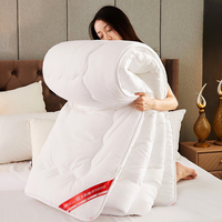 Couette alternative au duvet blanc pour hôtel, toutes saisons, sur mesure, literie en gros