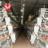 Cage à poules de type A à haute durabilité, en treillis métallique galvanisé antirouille, équipement pour poulailler, machine de collecte automatique des œufs