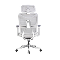 Chaise de bureau moderne en nylon maillé avec soutien lombaire dynamique, accoudoirs rotatifs à 360°, verrouillage d'inclinaison et coussin coulissant pour bureau à domicile