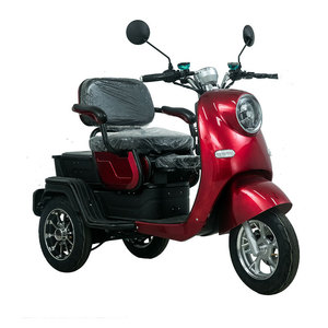VISTA-2 500W 2021 Triciclo de Pasajeros Automático de Nuevo Estilo con Asiento de Seguridad para Adultos - Product Image 2