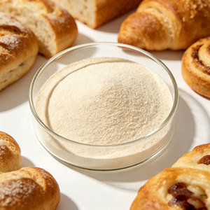Poudre de Lactobacillus Bulgaricus 10 milliards UFC/g <span class=keywords><strong>pour</strong></span> la fermentation et la production de yaourt - Entrepôt - Product Image 2