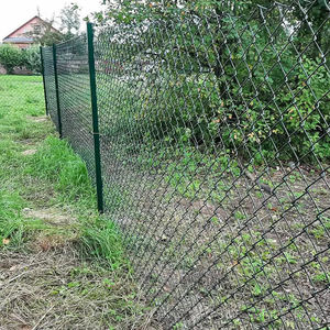 Piquets de clôture en acier galvanisé à chaud ou enduit de PVC de type Y - Product Image 6