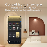 Bilihondim Zigbee Gateway Smart Box Switch 1 canal, tension d'entrée 220-240V, contrôle sans fil, compatible Google Home