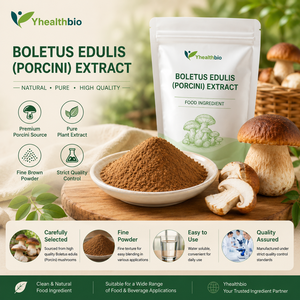 Extracto Orgánico de <span class=keywords><strong>Boletus</strong></span> Edulis, Extracto Natural de Hongo Porcini en Polvo, Extracto Vegetal Vegano, Sin OMG, a Granel, OEM - Product Image 3