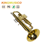 Bb Trumpet Brass Body with Gold Lacquer Finish | Stainless Steel Valves, 120mm Bell | Student & Band Trumpet OEM Factory Supply