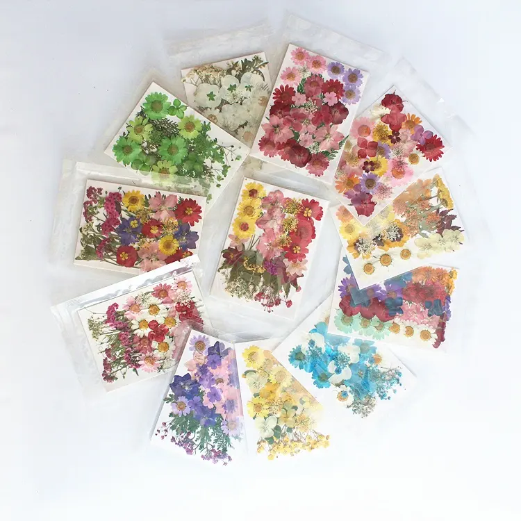 M031 Handicraft Flower Press Bulk Mixed Pack Fresh Real Pressed Natural Dried Flowers Dried Pressed Flower Resin For Art Crafts