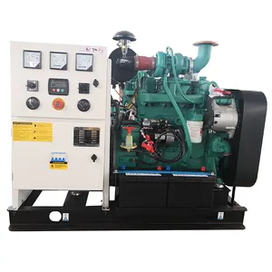 Rated Power 20KW 25KVA Electricity Generation 50Hz 220V Diesel Generator