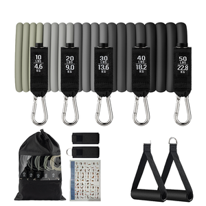 <span class=keywords><strong>2025</strong></span> Nhà Phòng Tập Thể Dục Loạt 11Pcs Latex Tập Thể Dục Ban Nhạc Dài In Tập Thể Dục Sức Đề Kháng Đàn Hồi Căng Tập Thể Dục Thiết Lập Mạnh Mẽ Ban Nhạc Cao Su - Product Image 2