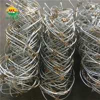 Barrière passive de protection des pentes haute résistance contre les chutes de pierres, filet en treillis métallique tissé en acier inoxydable avec soudure