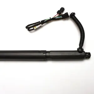 OE 51247332697 Spindle Drive Struts Power Tailgate Lift Strut Rear Door Lift Support For BMW E70 X6 Lift Struts