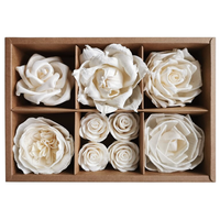 Parfum de ménage parfumé fleurs séchées diffuseur de roseau bois Sola fleurs bâton de rotin pour l'air frais