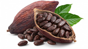 Suministro desde almacenes de EE. UU. y la UE: <span class=keywords><strong>Cacao</strong></span> en polvo 100% puro y natural para repostería y chocolate caliente - Product Image 2