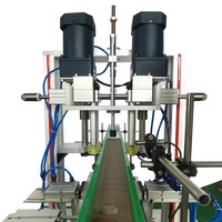 Machine de capsulage de bouteilles en verre cosmétiques stables automatique Machine d'alimentation de bouteilles et machine de vissage de capsulage de bouchons